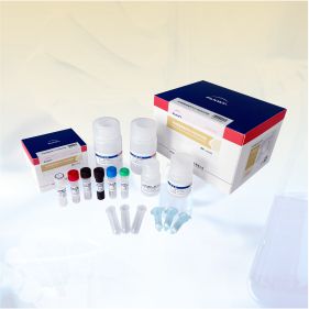非洲豬瘟病毒熒光PCR檢測試劑盒